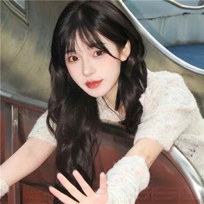 安妮回忆录